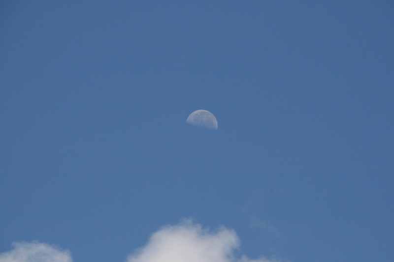 Nieuw-Zeeland 2011 - 0810